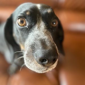 Meet your Posher, Caitlin